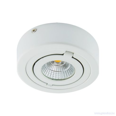 STRÜHM IGOR LED C 6W WHITE 4000K KIFORDÍTHATÓ MENNYEZETI SPOT