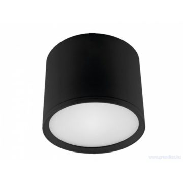 STRÜHM ROLEN LED 10W BLACK 4000K MENNYEZETI SPOT